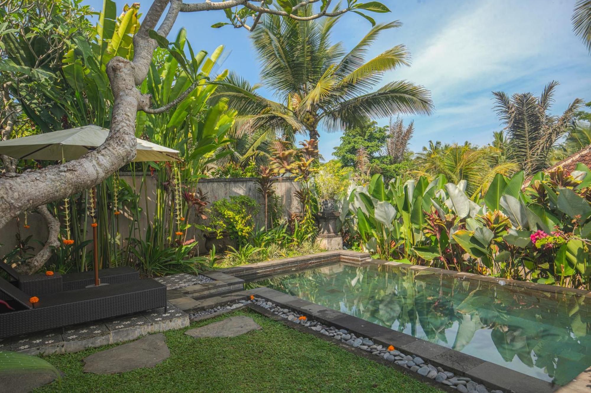 Taluh Bebek Ubud Private Villas 外观 照片
