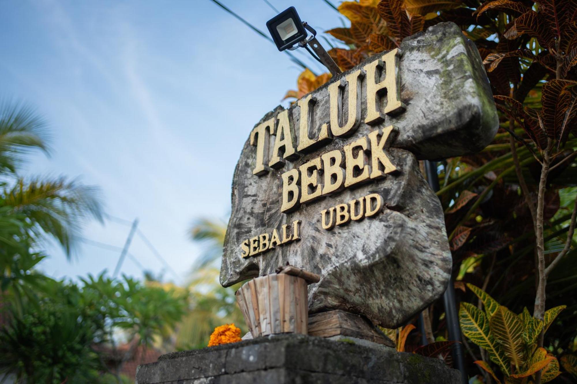 Taluh Bebek Ubud Private Villas 外观 照片