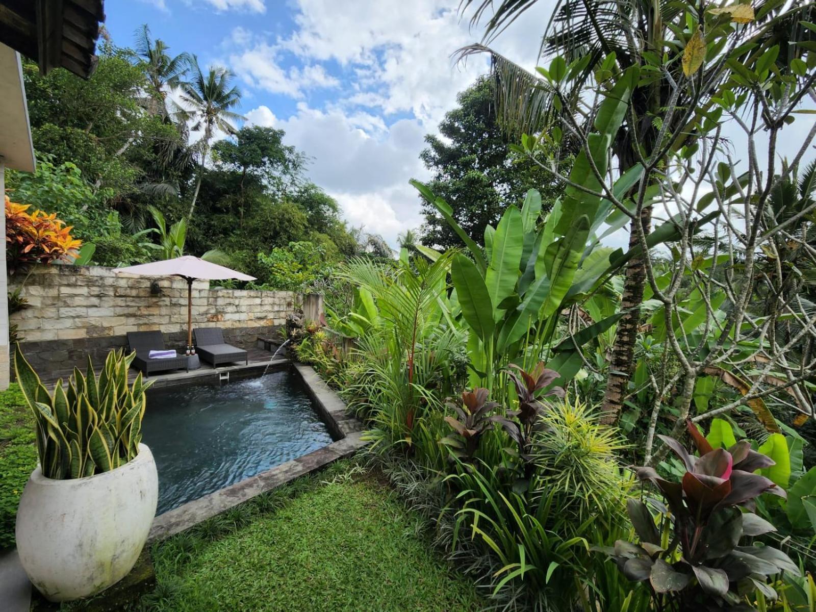 Taluh Bebek Ubud Private Villas 外观 照片